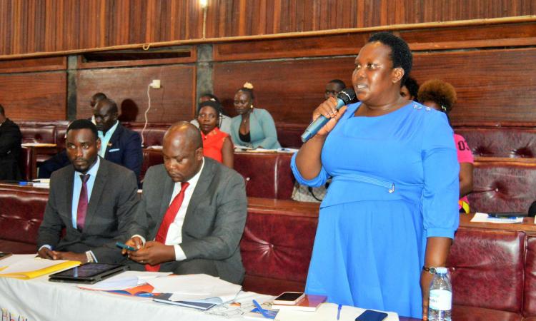 CAO-Ms Namayega Edith addressing District Council in session at the District Council Chambers 